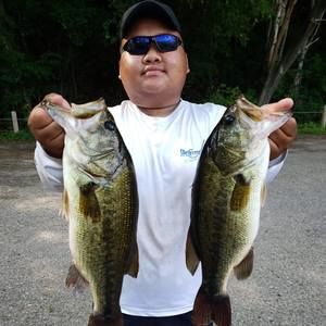 Meet your Posher, Joey